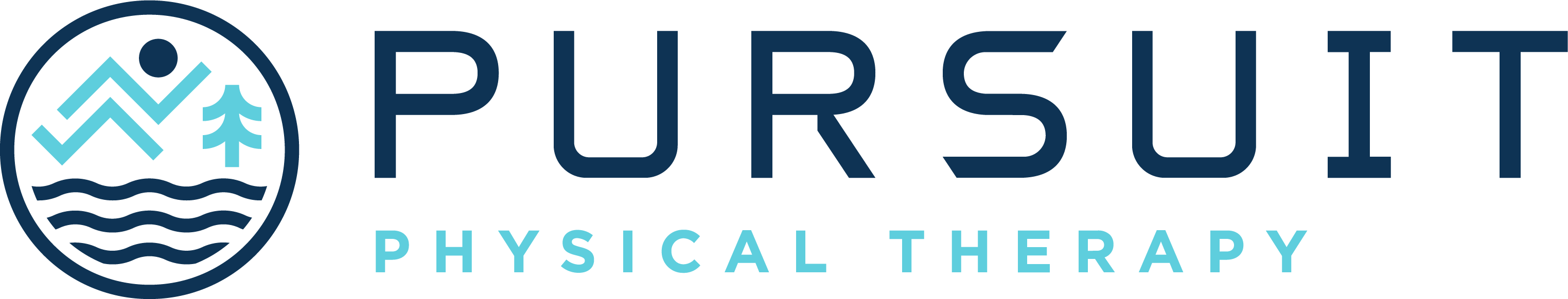 Payment Form Pursuit Physical Therapy Payment Form Pursuit Physical Therapy